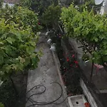 μυρτώ *