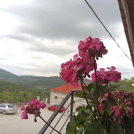 μυρτώ Калампака